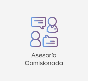 Asesoría Comisionada