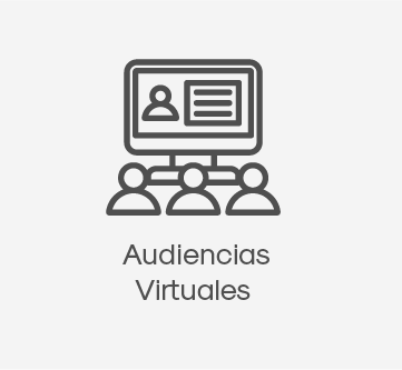 Audiencias Virtuales