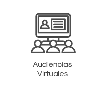 Audiencias Virtuales