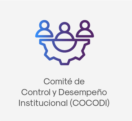 Comité de Control y Desempeño Institucional (COCODI)