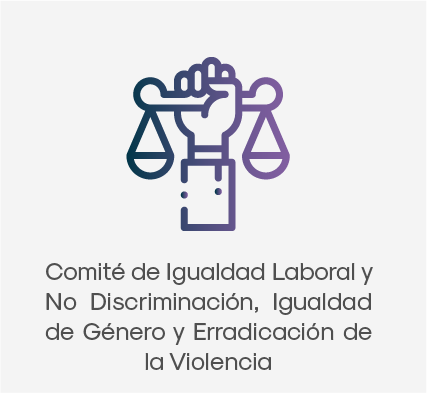 Comité de Igualdad Laboral y No Discriminación, Igualdad de Género y Erradicación de la Violencia