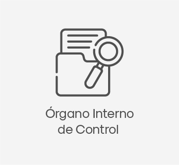 Órgano Interno de Control